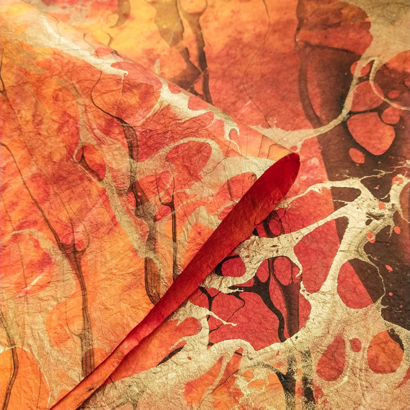 Thai Marbled Momi - Volcano