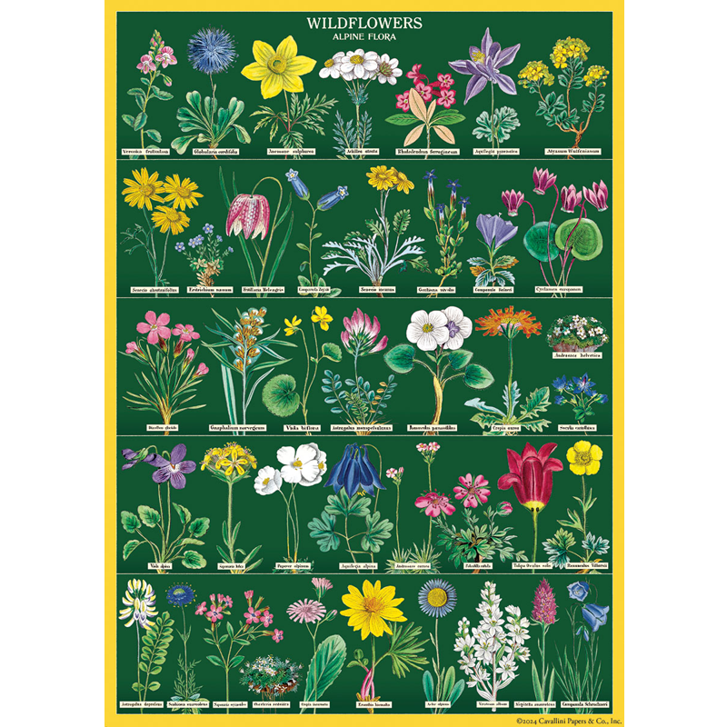 Wildflowers 2 Poster Wrap