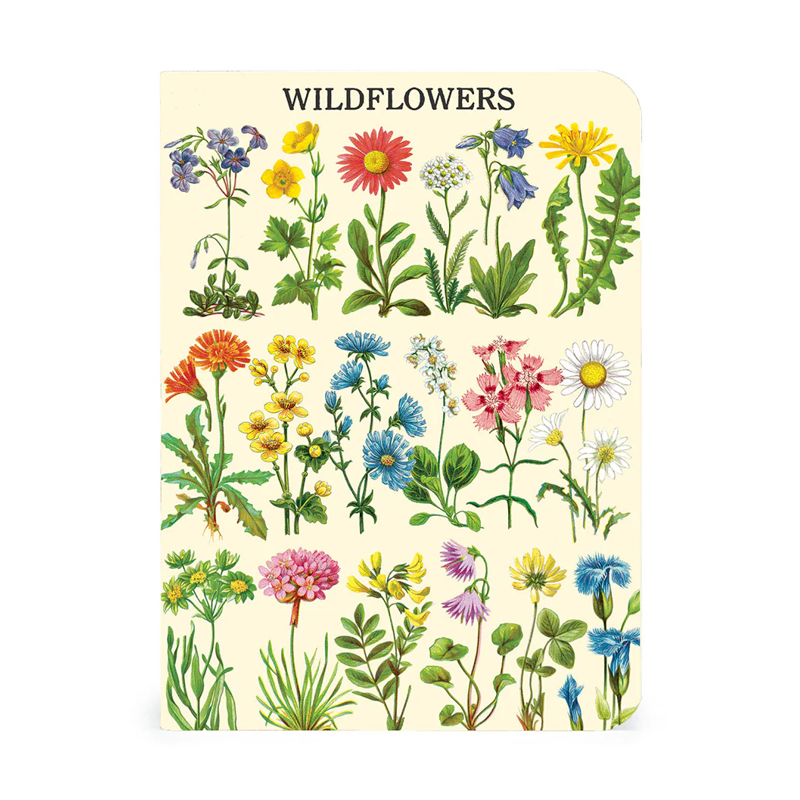Cavallini Mini Wildflowers 2 Notebook Set/3
