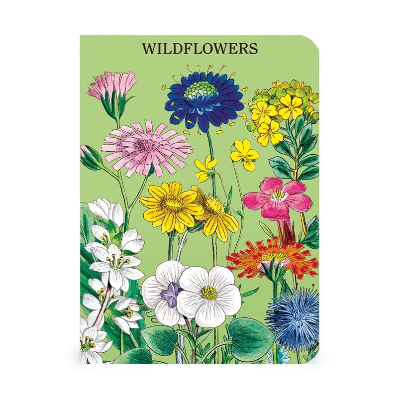 Cavallini Mini Wildflowers 2 Notebook Set/3