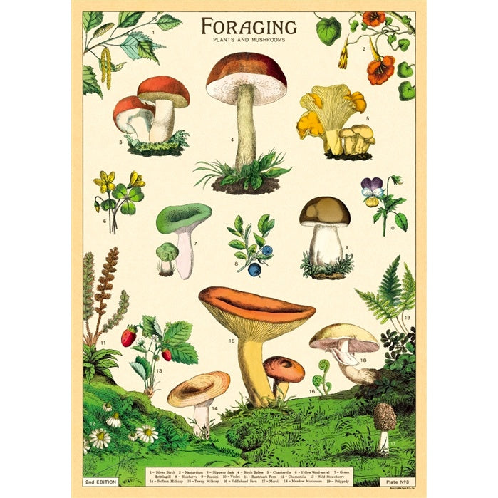 Forage Poster Wrap