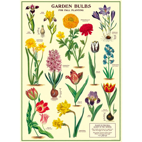 Garden Bulbs Poster Wrap