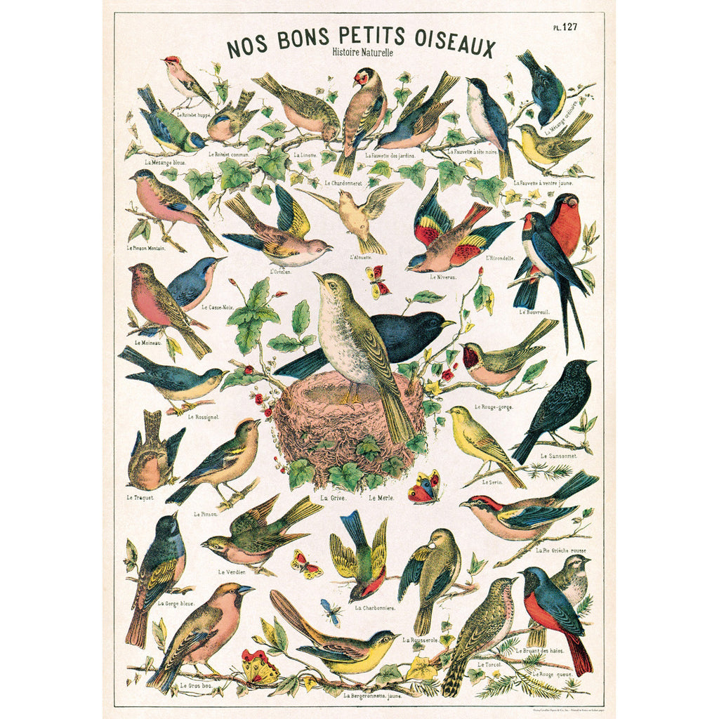 Bird Chart Poster Wrap