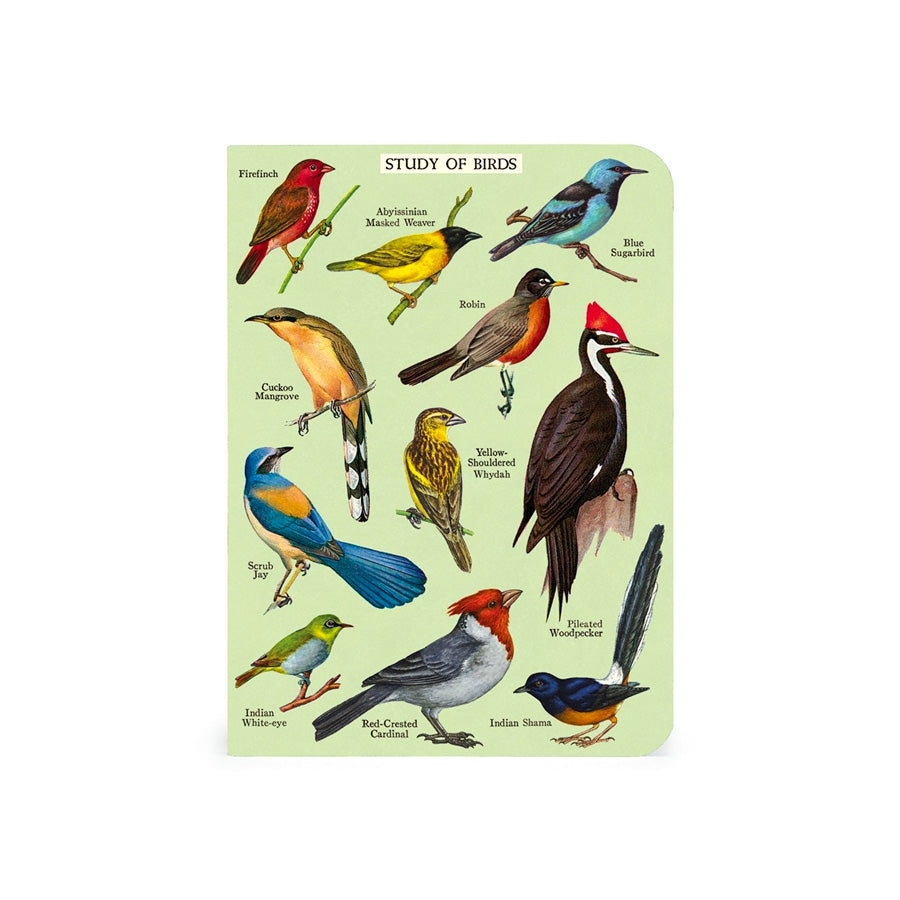 Cavallini Mini Bird Watching Notebook Set/3