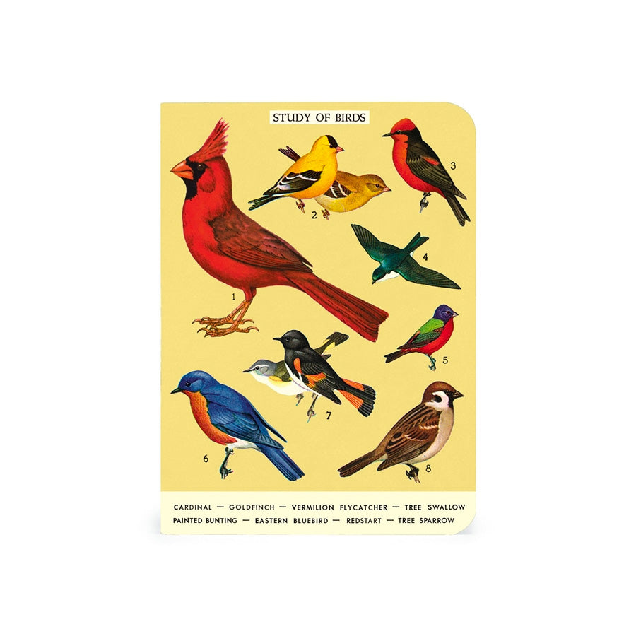Cavallini Mini Bird Watching Notebook Set/3