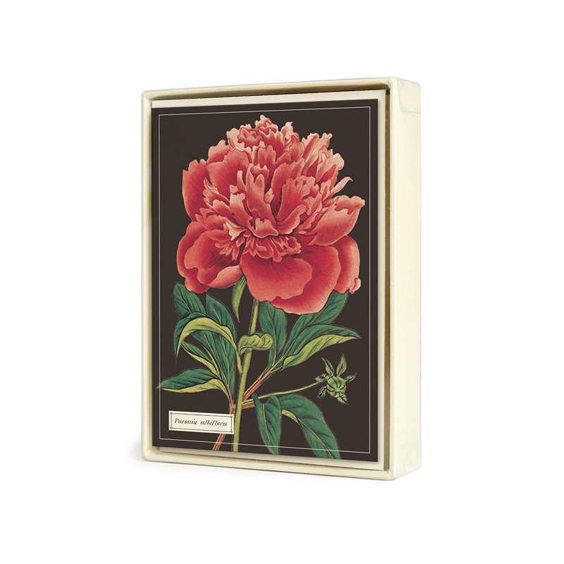 Botanica Assorted Set of 8 Notecards