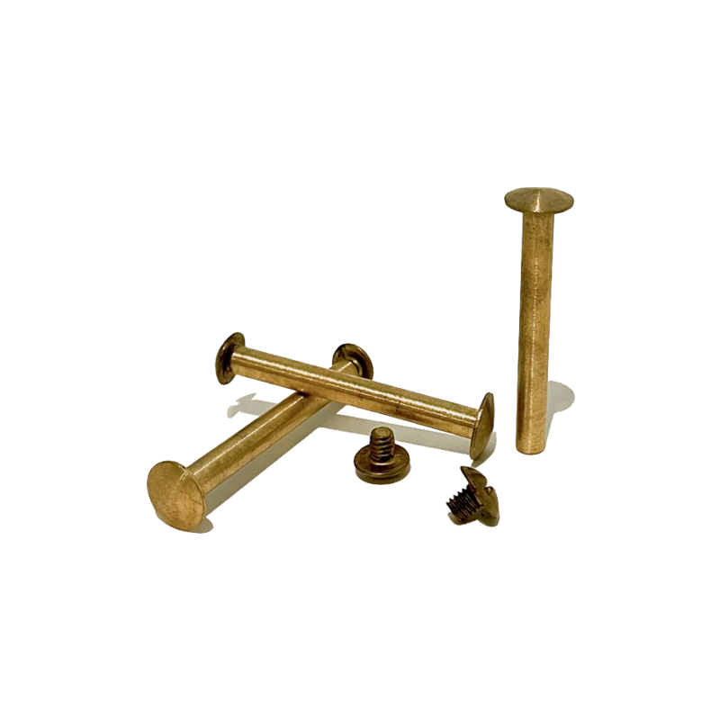 Brass Chicago Screws 2" Set/10
