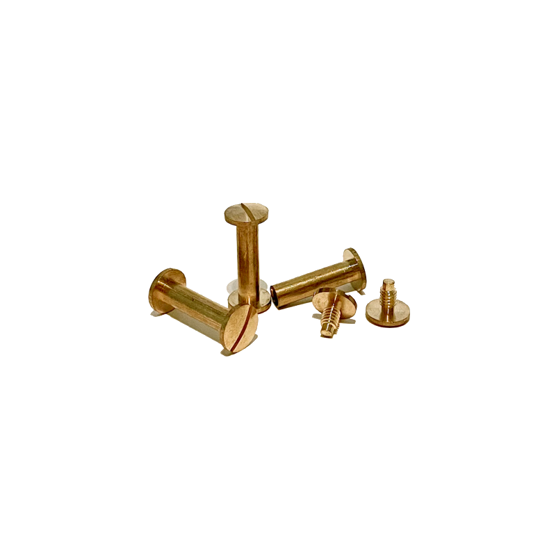 Brass Chicago Screws 3/4" Set/10