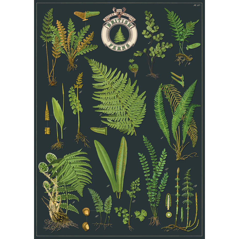 British Ferns Poster Wrap
