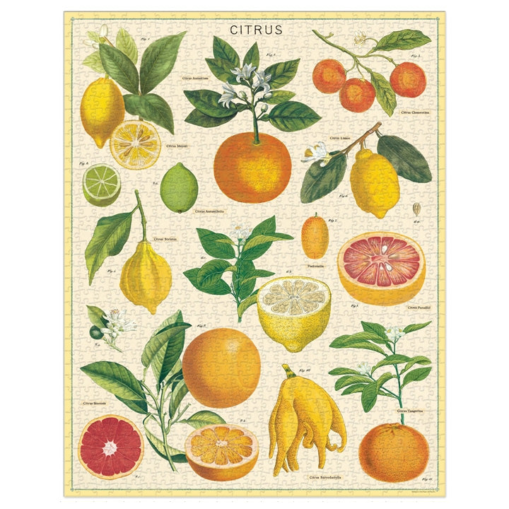 Citrus Puzzle, 1000pc