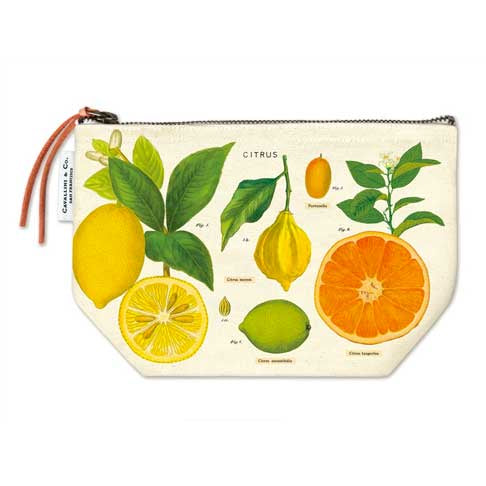 Citrus Vintage Pouch