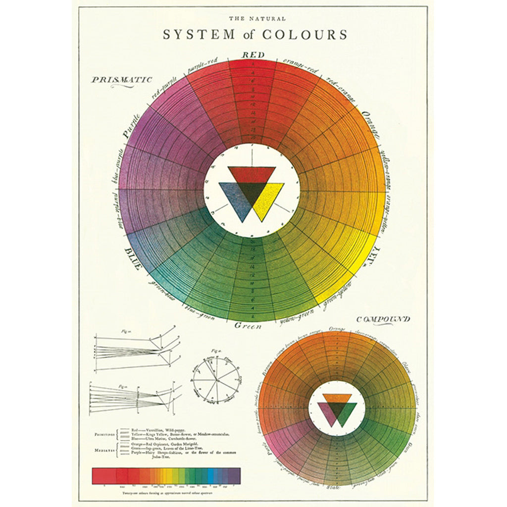 Colour Wheel Poster Wrap