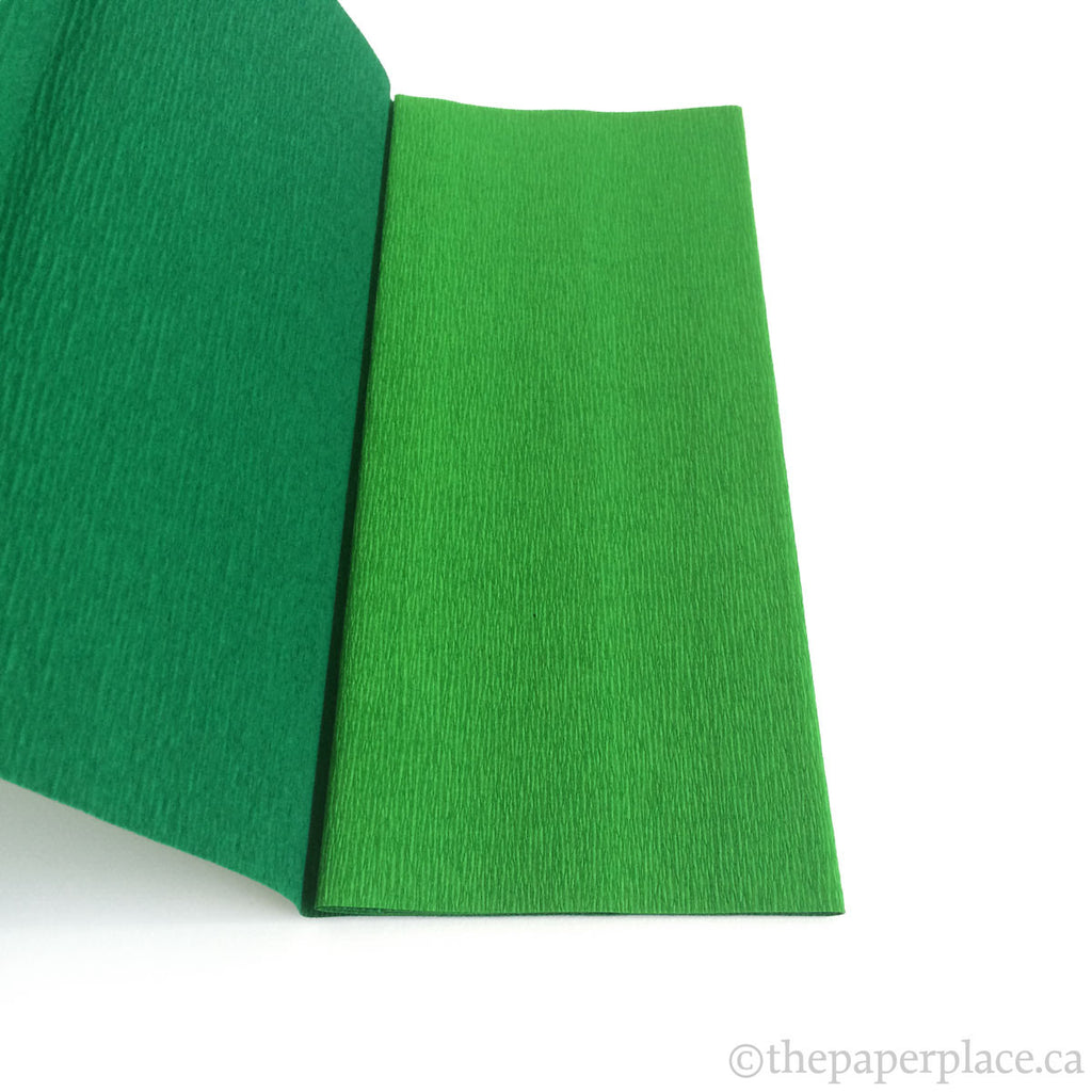 90g Double-Sided Crepe - Fern/Grass