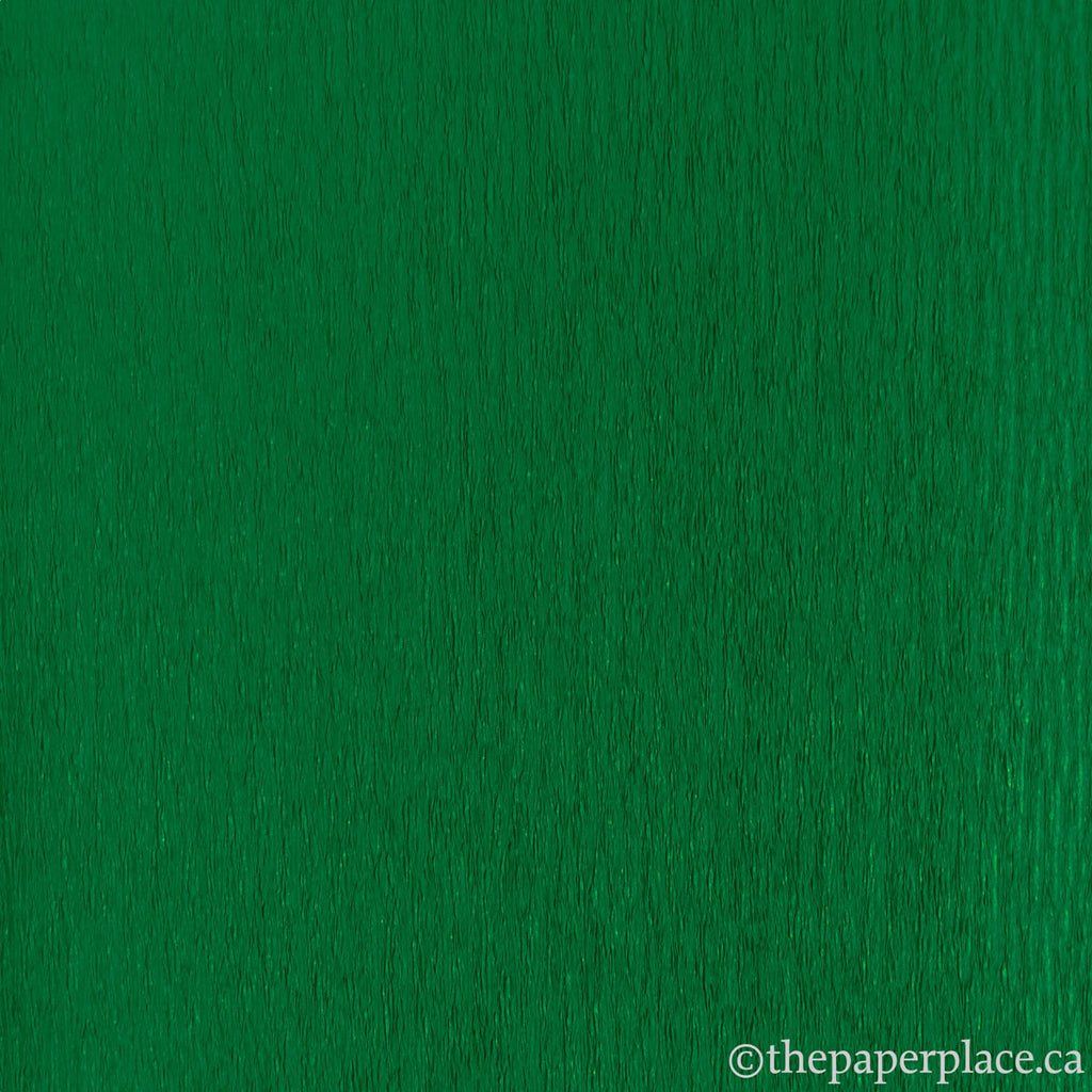 90g Double-Sided Crepe - Fern/Grass