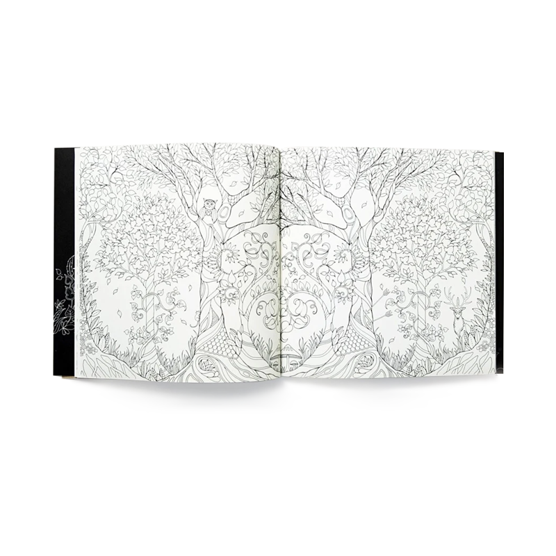 Enchanted Forest Colouring Book