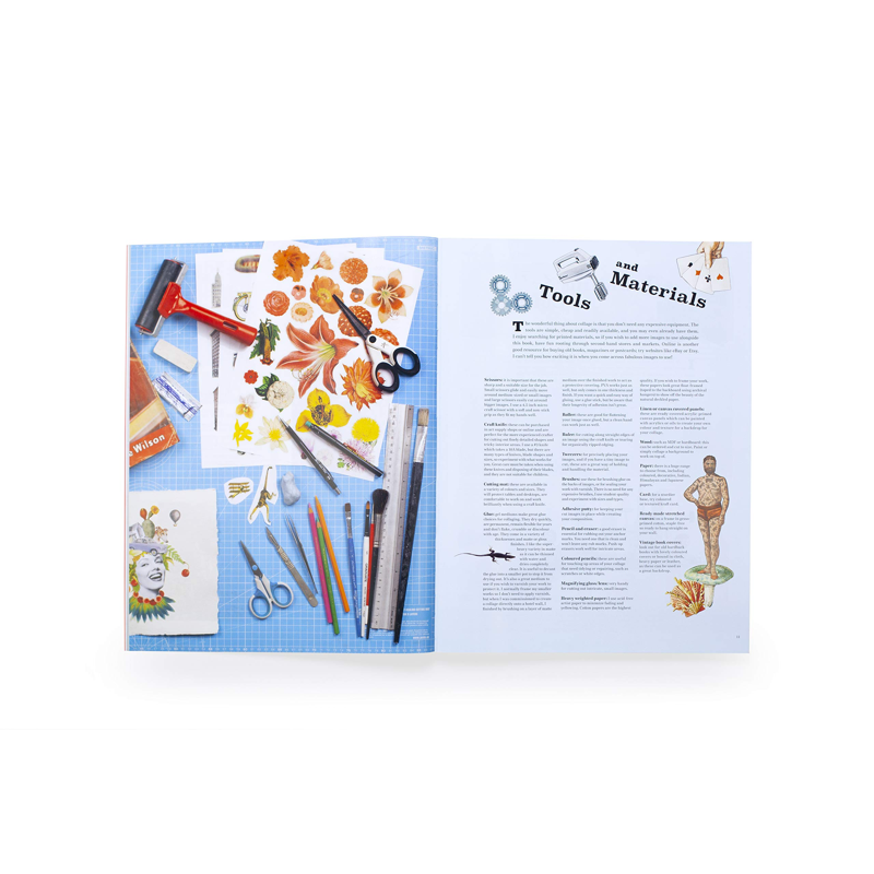 Extraordinary Things To Cut Out and Collage