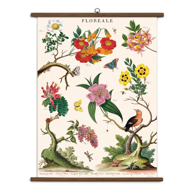 Floreale Vintage School Chart