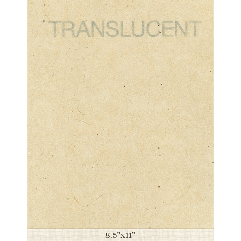 Gampi Smooth MM - Sample 8.5" x 11"