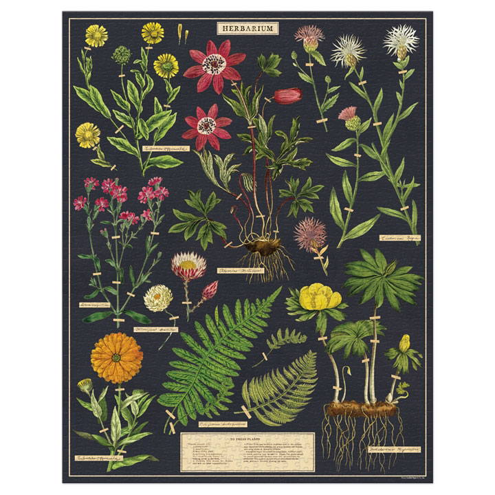 Herbarium Puzzle, 1000pc