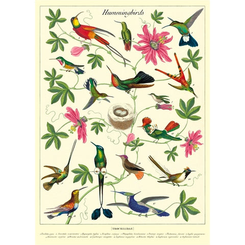 Hummingbirds Poster Wrap