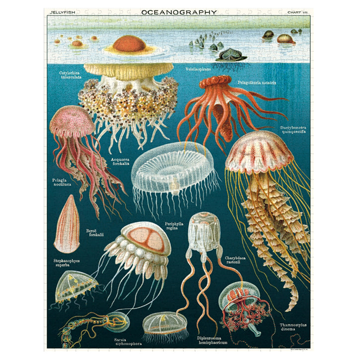 Jelly Fish Puzzle, 1000pc