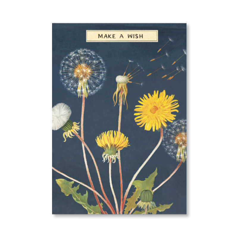 Make A Wish Birthday Single Card