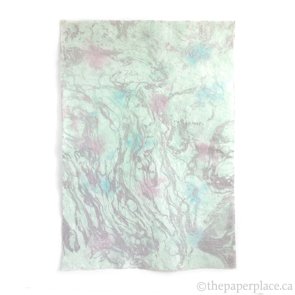 Thai Marbled Momi - Calypso