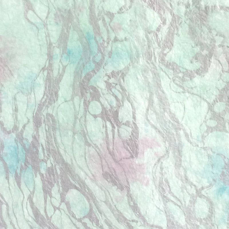 Thai Marbled Momi - Calypso