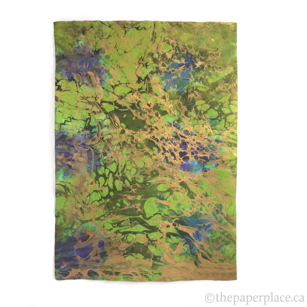 Thai Marbled Momi - Forest