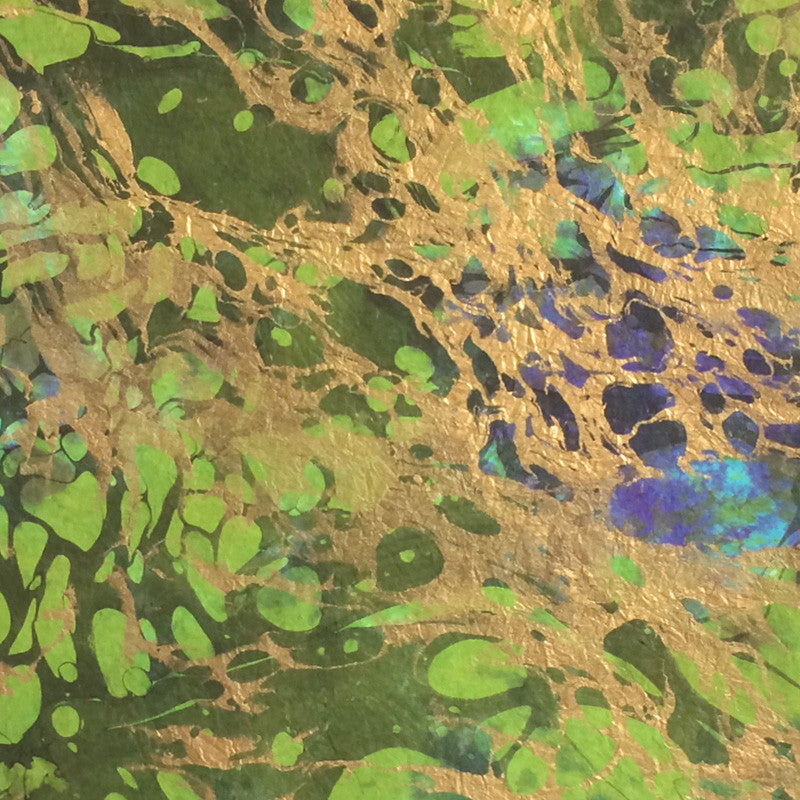 Thai Marbled Momi - Forest