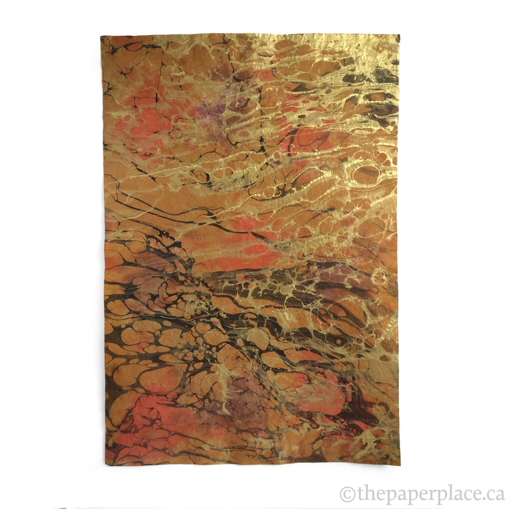 Thai Marbled Momi - Mesa