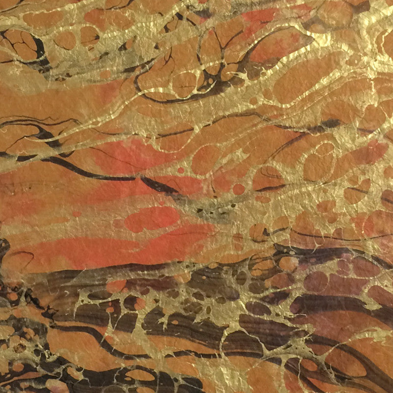 Thai Marbled Momi - Mesa