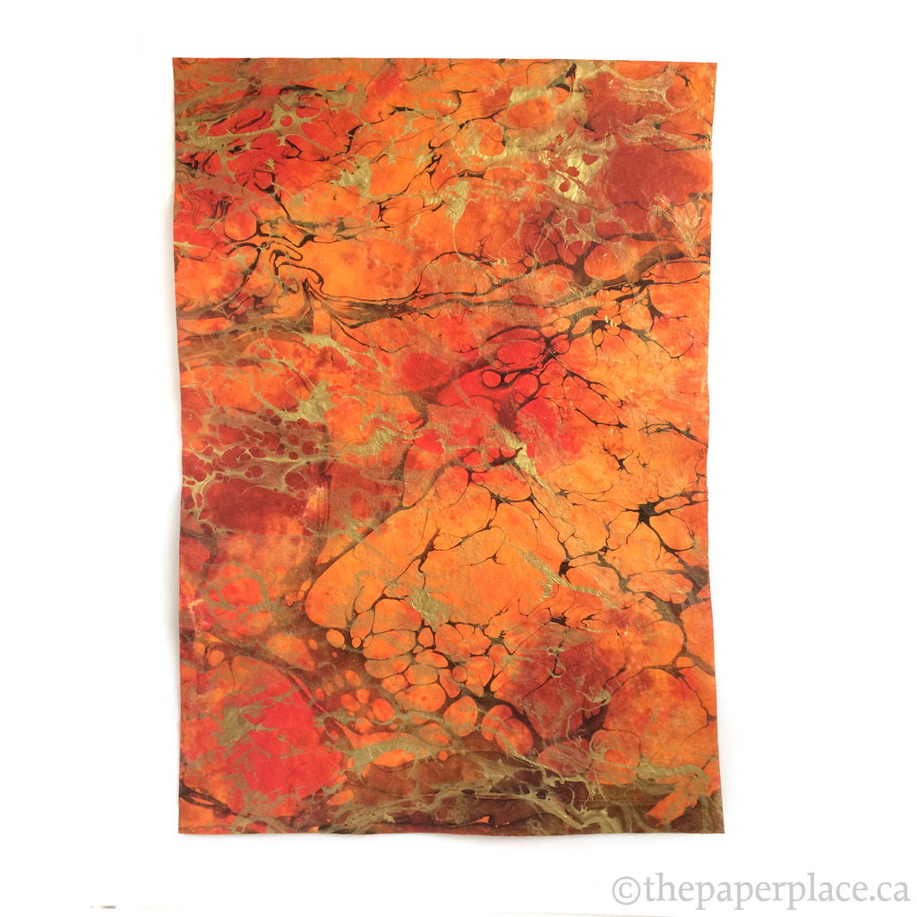 Thai Marbled Momi - Volcano