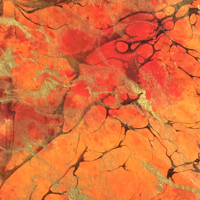 Thai Marbled Momi - Volcano