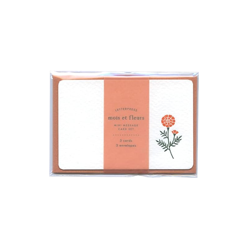 Mini Message Card Set - Marigold on Orange