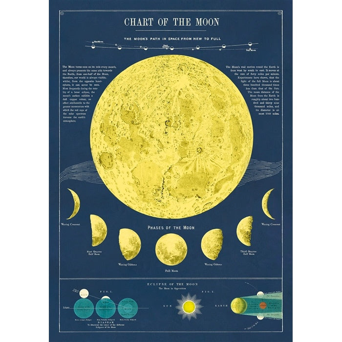 Moon Chart Poster Wrap