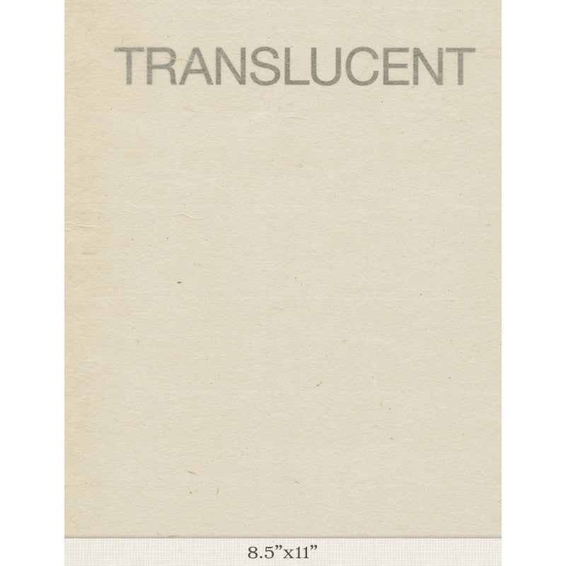 Sekishu Banshi Tsuru Large - Sample 8.5" x 11"