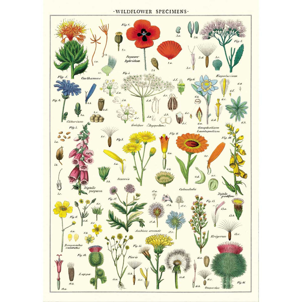 Wildflowers Poster Wrap