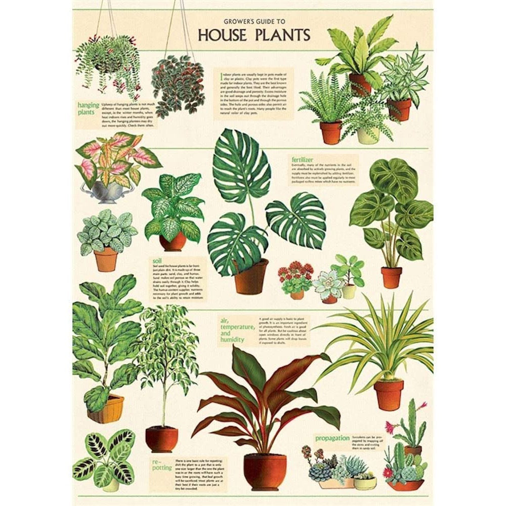 House Plants Poster Wrap