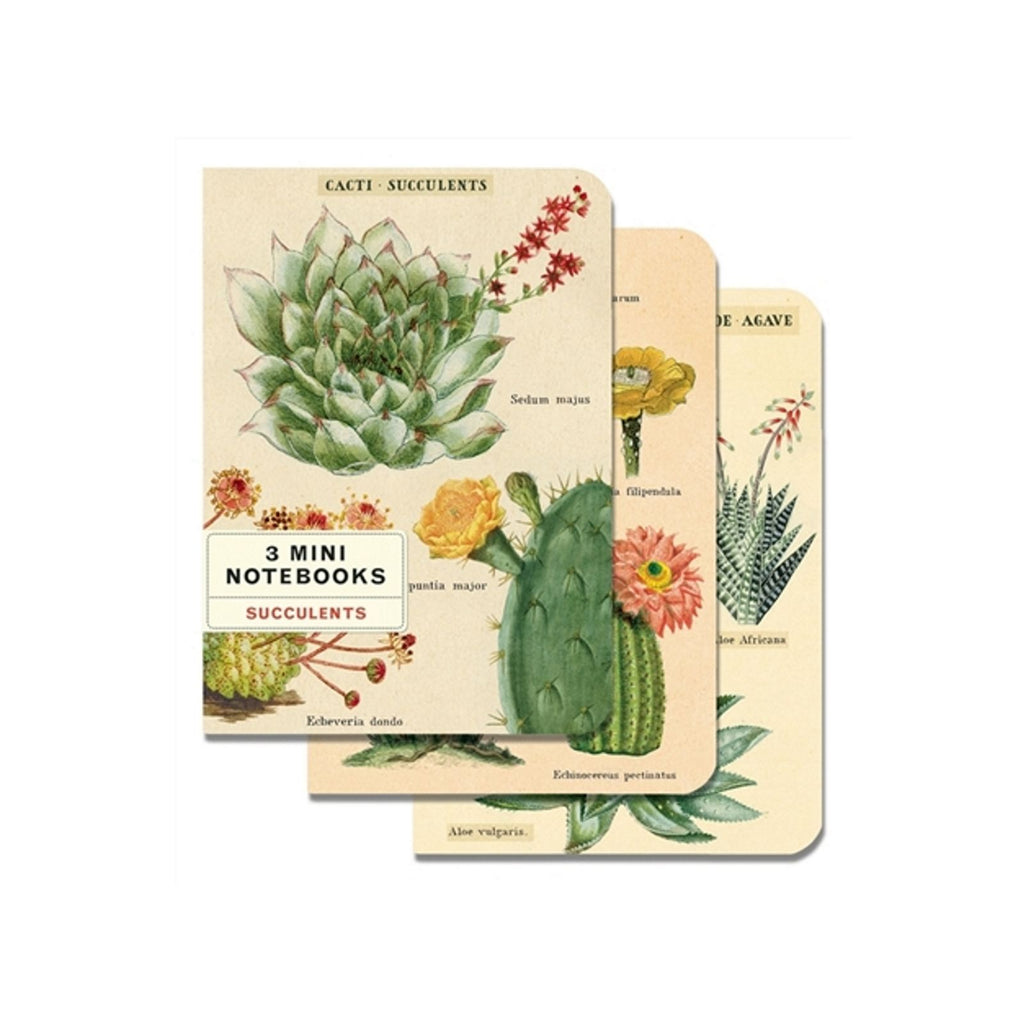Cavallini Mini Succulents Notebook Set/3