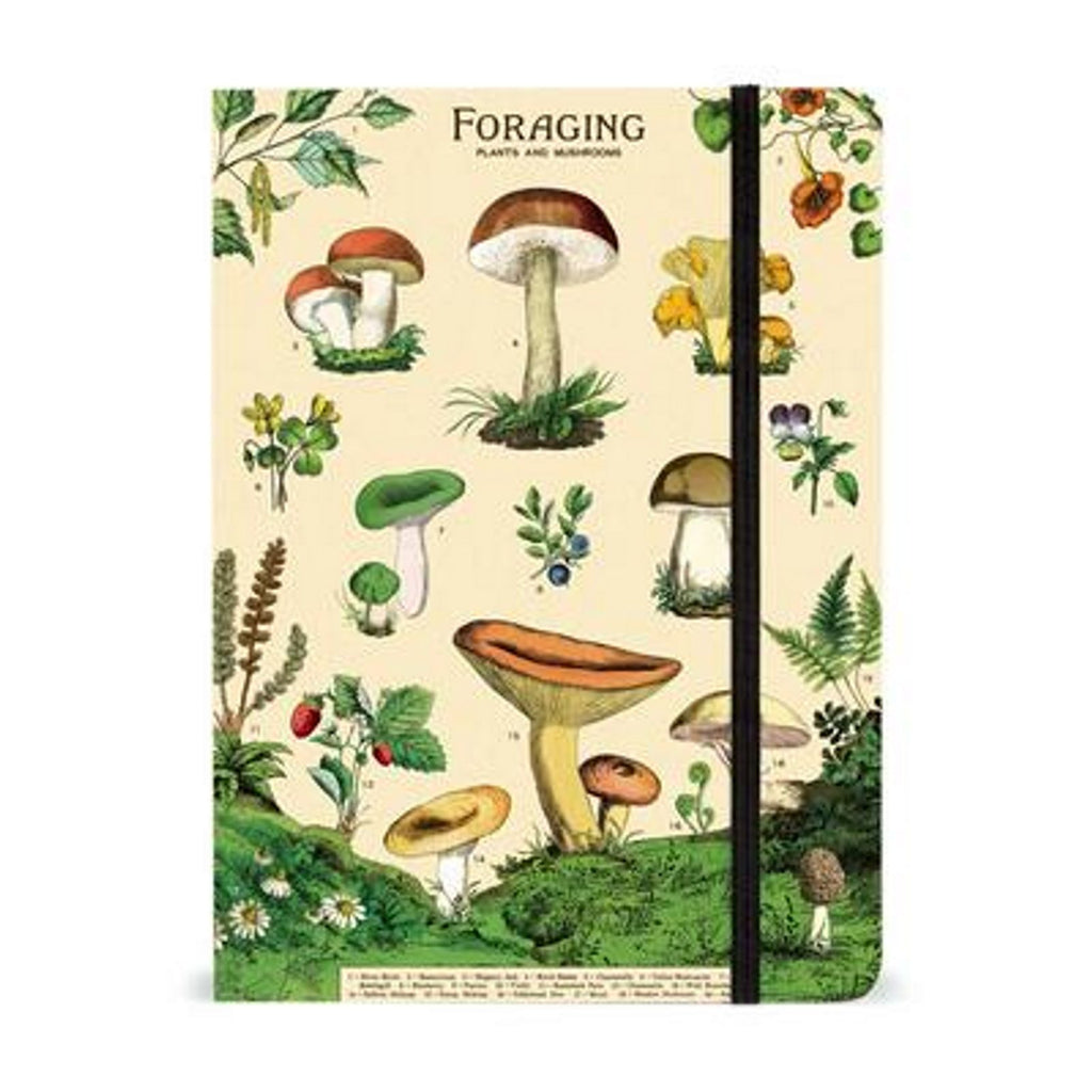 Cavallini Foraging Notebook