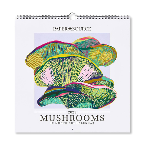 2025 Paper Source Mushroom Wall Calendar