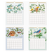 Songbirds 2025 Wall Calendar