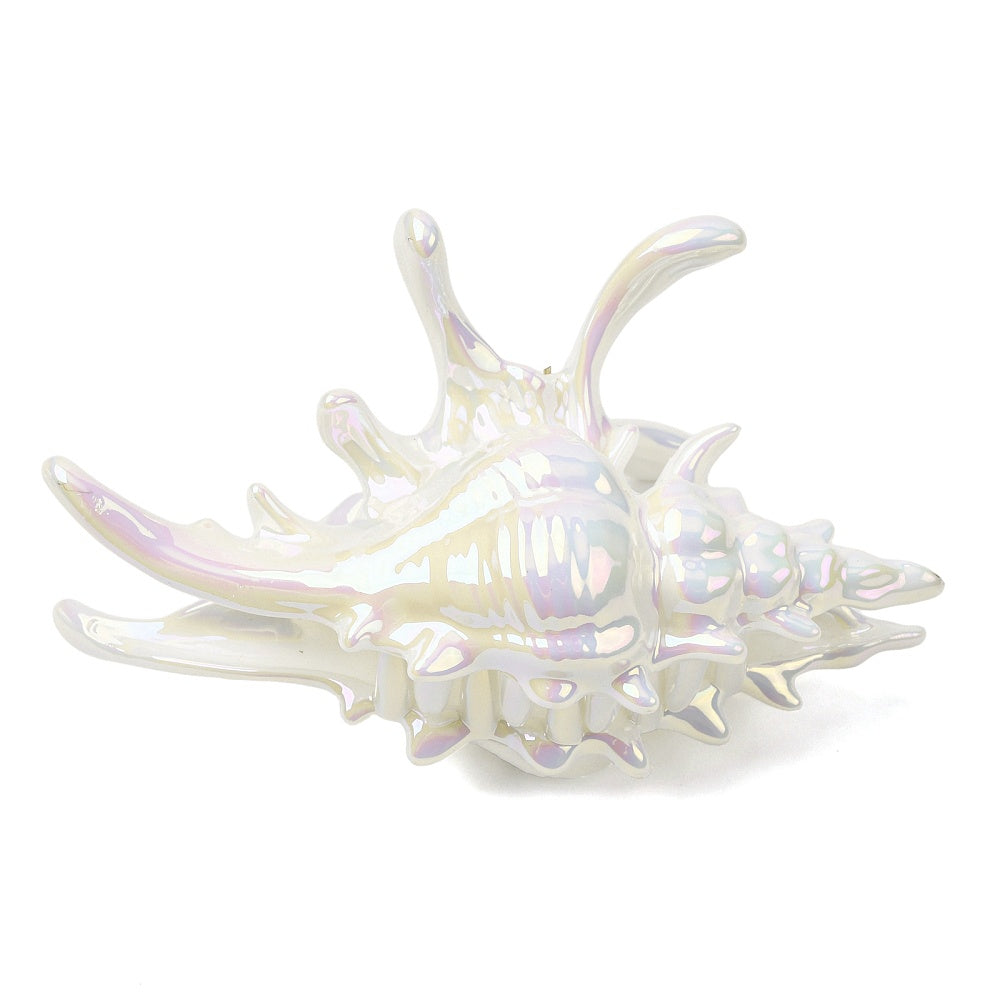 Conch Shell Claw Clip