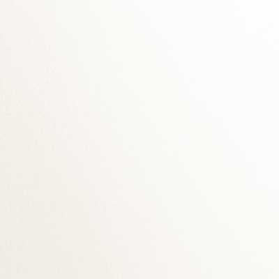 Shimmer Silver - Cardstock