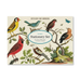 Birds Stationery Set