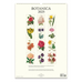 2025 Botanica Wall Calendar