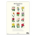 2026 Botanica Wall Calendar