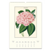 2026 Botanica Wall Calendar