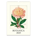 2025 Botanica Wall Calendar